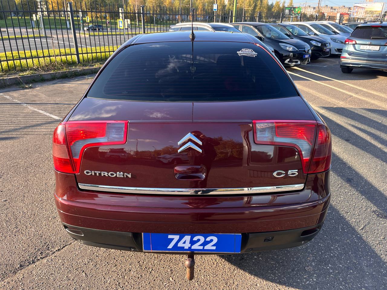  C5